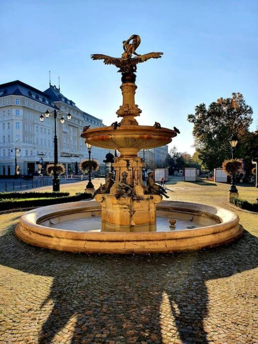 Lovely & Unique Apt In The Historic Center. Bratislava Dış mekan fotoğraf