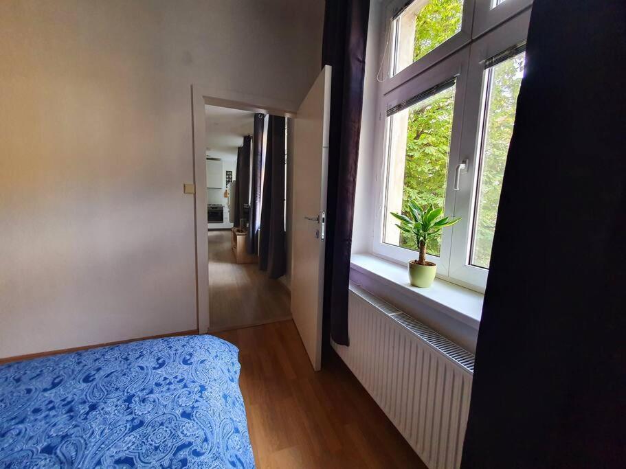 Lovely & Unique Apt In The Historic Center. Bratislava Dış mekan fotoğraf